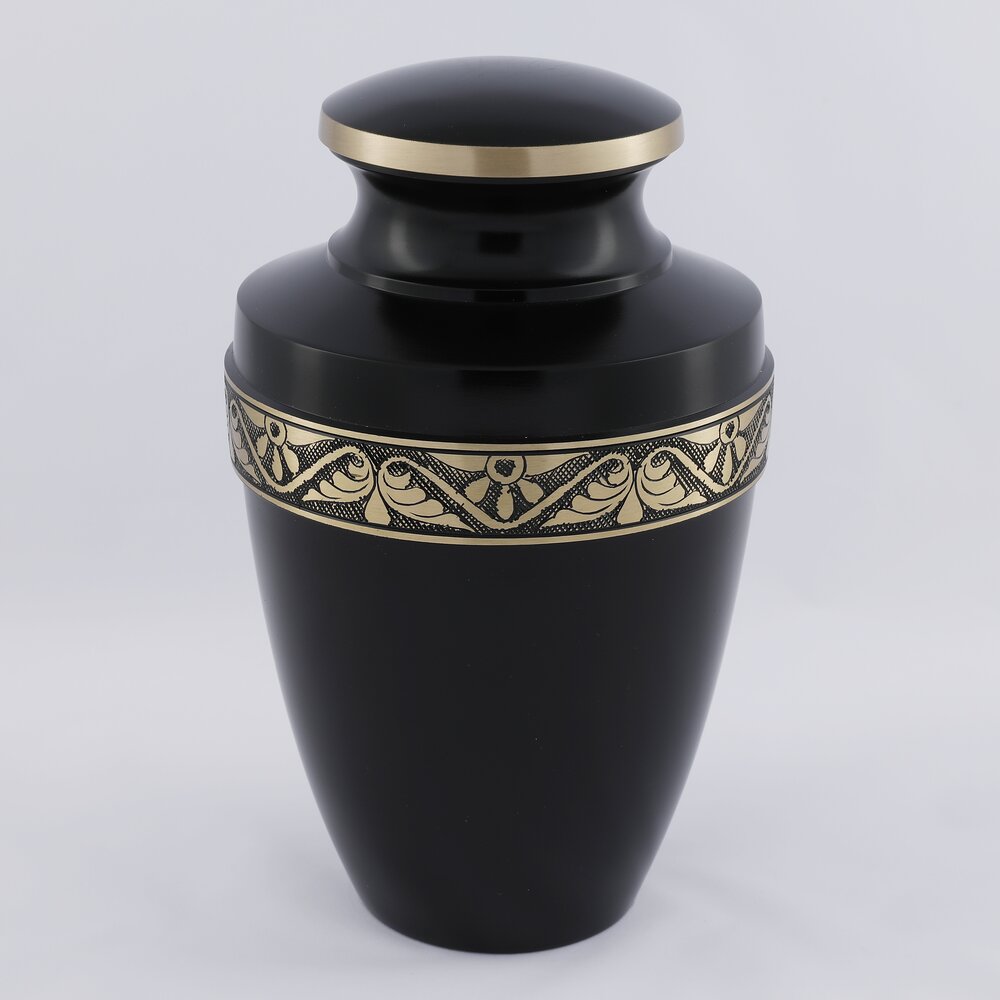 Midnight Brass (Adult)